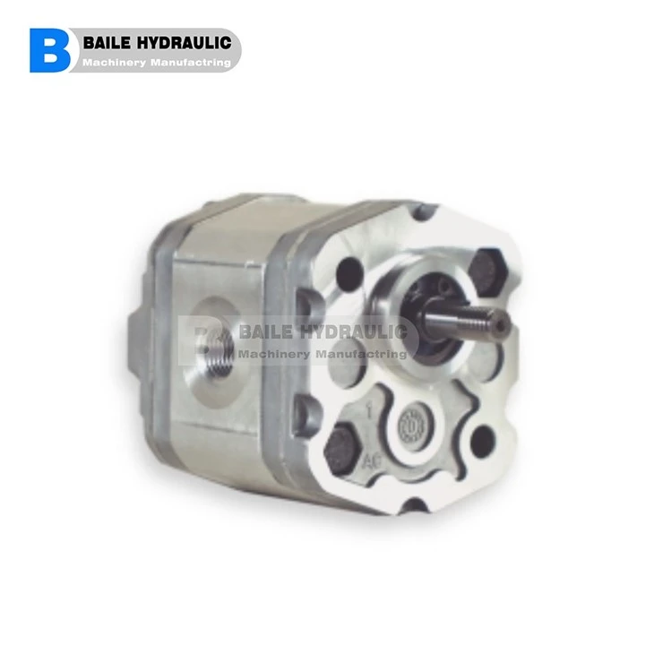 MARZOCCHI GEAR PUMP 0.25-0.5 Series 0.25 D 18 0.25 D 24 0.25 D 30 0.25 D 36 0.25 D 48 0.25 D 60 0.5 D 0,50 0.5 D 0,75 0.5 D 1,00 0.5 D 1 30 0.5 D 1,60 0.5 D 2,00